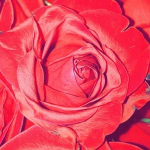 Meet your Posher, Leah